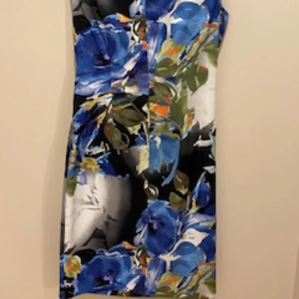 Cache Dress - Blue Floral - Size 6 - Picture 5 of 7